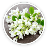 fast lean pro ingredients