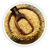 fast lean pro ingredients